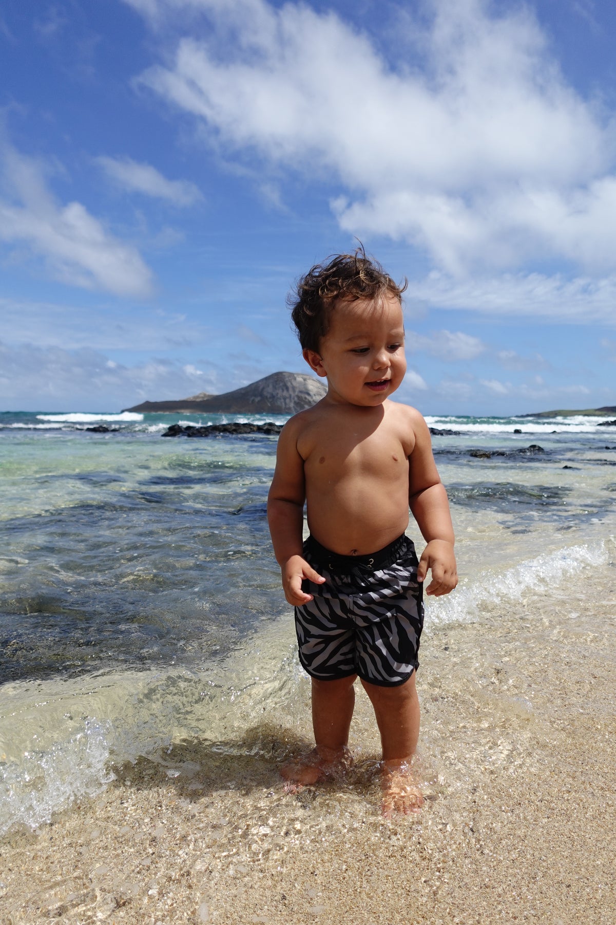 Boys Surf Shorts (Black x Gray Zebra)